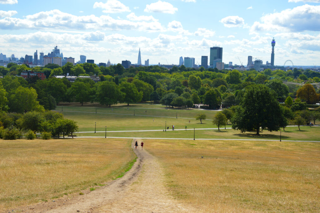 Primrose hill