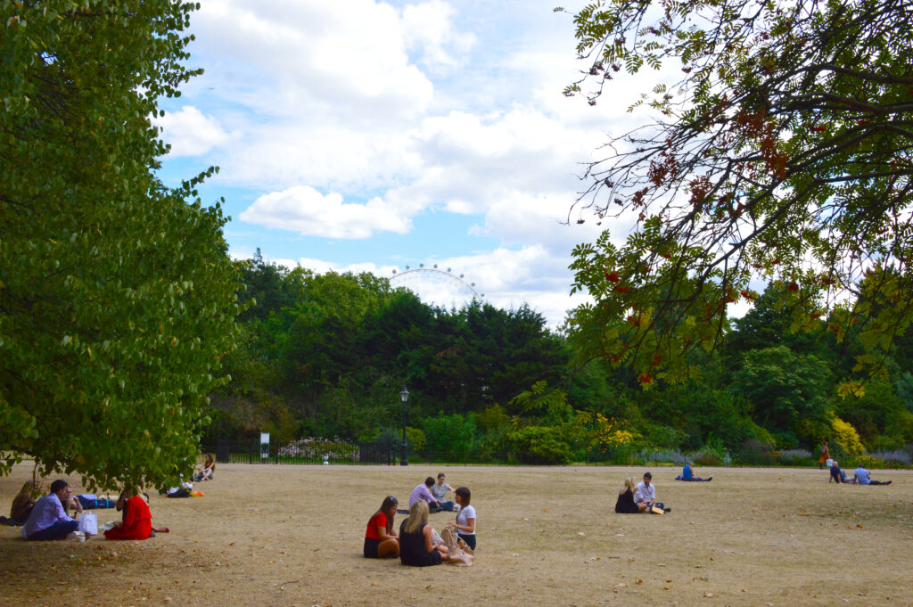Park